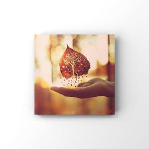 陈冠希雁门照片高清视频
